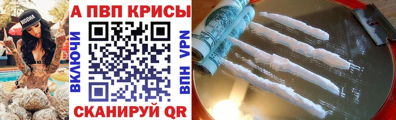 Alfa_PVP СК КРИС  OMG ТОР  Новочеркасск 