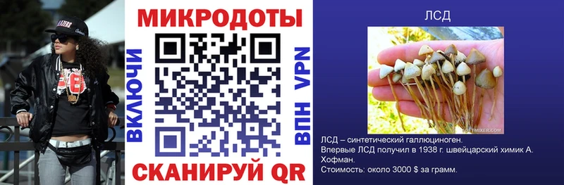 Псилоцибиновые грибы Cubensis  Новочеркасск 