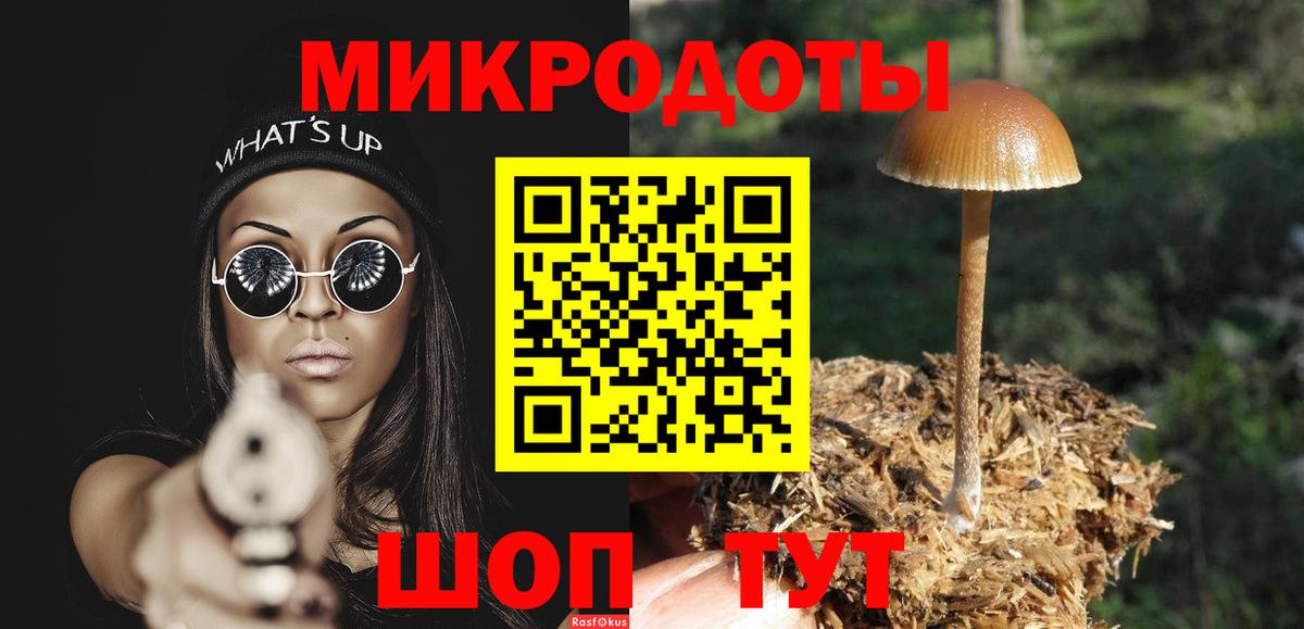 Галлюциногенные грибы прущие грибы Новочеркасск